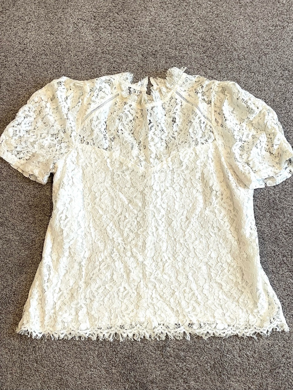 Vine & Love Ivory Lace Blouse Romantic Boho Sheer Sleeve Top Size L